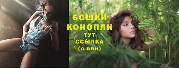 молекула духа Волосово