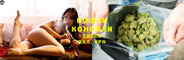 стаф Володарск