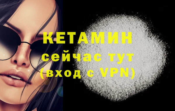 стаф Володарск