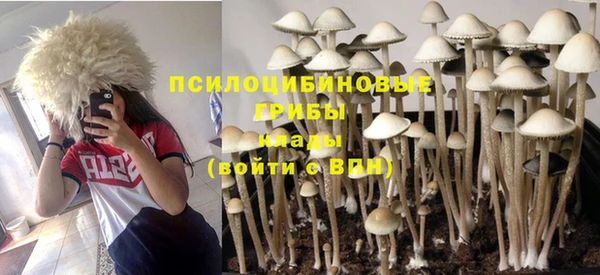 молекула духа Волосово