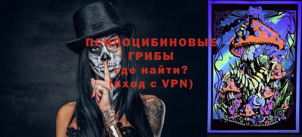 стаф Володарск