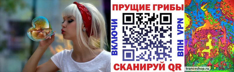 Псилоцибиновые грибы Cubensis Купить закладки Славянск-на-Кубани
